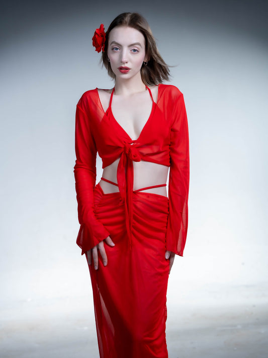 Red Rose Bikini Set
